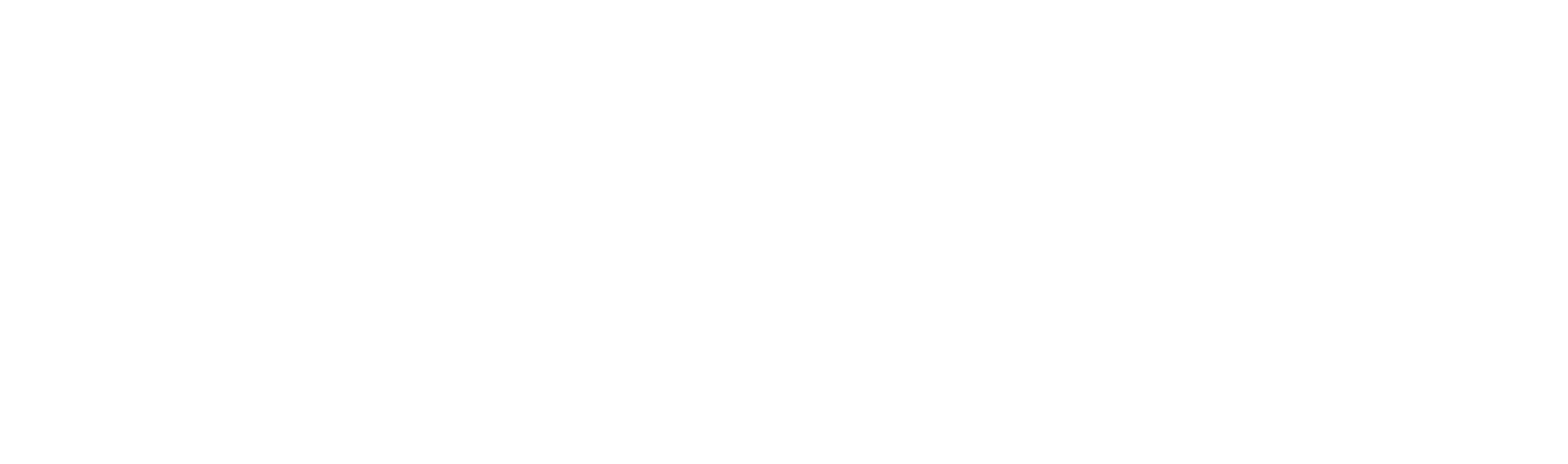 Credinissan